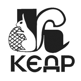 Региональный общественный благотворительный фонд социальной реабилитации и помощи инвалидам "Кедр"